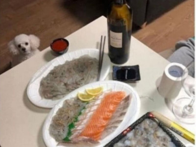 갑자기 댕댕이가 안보여 아쉬운 사장님