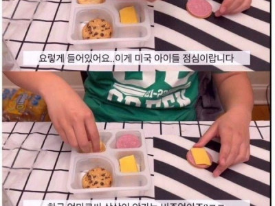 미국학교에서 아이들이 가장 많이 싸오는 도시락 메뉴