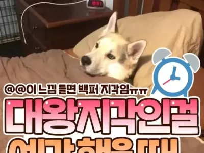 대왕지각인 걸 예감했을 때.jpg