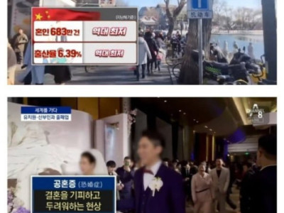 저출산과 전쟁중인 전세계 근황.jpg